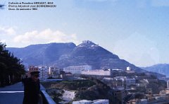 Mas- 105- Oran 